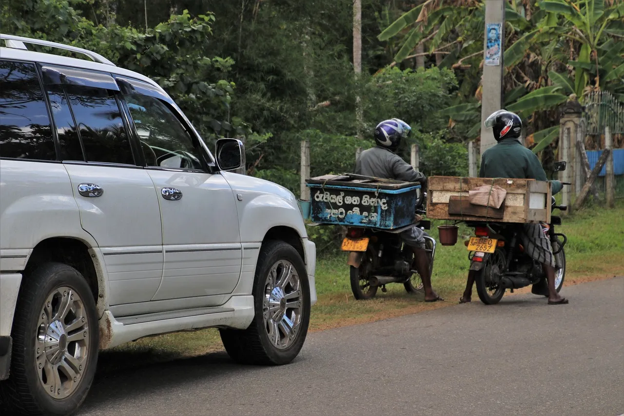 Toyota Land Cruiser 2024