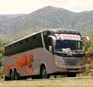 Tamhead,East Africa's best long distance travel bus Auto Daily Diary